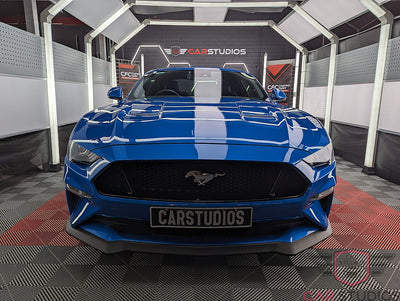 2020 Mustang GT / Blue